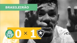Brasileirão: Palmeiras 0 - 1 Botafogo (2023)