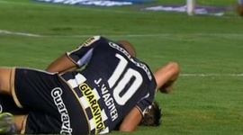 Brasileirão: Palmeiras 0 - 2 Botafogo (2014)