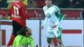 Bundesliga: Leverkusen 2-1 VfL Wolfsburg (2009-2010)