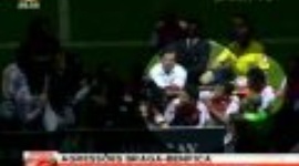 Agressões ao intervalo do Sp. Braga 2-0 Benfica (2009-2010)
