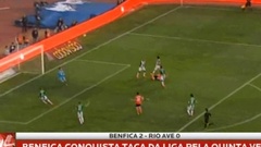 Futebol 365