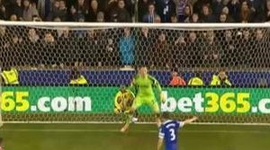 Premier League: Stoke City 1 - 1 Everton (2013-2014)
