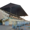 Sport utcai