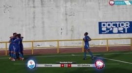 Futebol 365