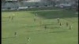 Serie A: Fiorentina 2-1 Livorno (2006/2007)
