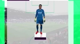 Premier League: Swansea City 1 - 0 Everton (2016-2017)