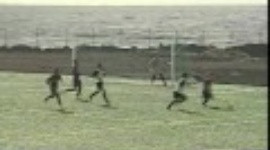 Futebol 365