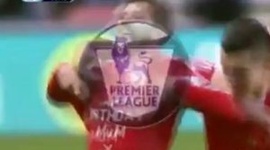Premier League: Southampton 1 - 0 WBA (2013-2014)
