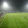Kingfield