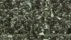 Futebol 365