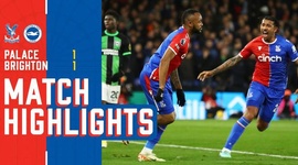Premier League: Crystal Palace 1 - 1 Brighton (2023-2024)
