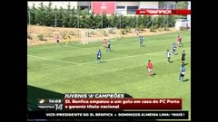 Futebol 365