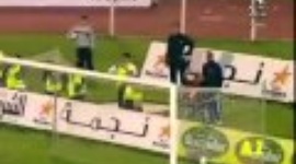 Futebol 365