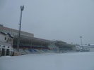 Dinamo