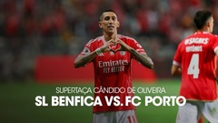 Futebol 365