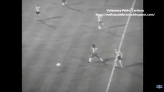 Futebol 365