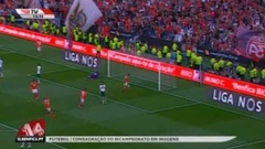 Futebol 365