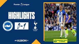 Premier League: Brighton 0 - 1 Tottenham (2022-2023)