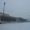 Dinamo