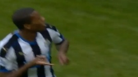 Premier League: Newcastle 6 - 2 Norwich (2015-2016)