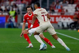 Futebol 365