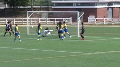 Futebol 365
