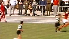 Futebol 365