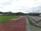 Artunduaga