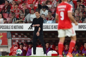 "Os sócios do Benfica podem fazer o que quiserem. Schmidt está-se a borrifar completamente"