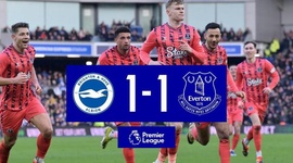 Premier League: Brighton 1 - 1 Everton (2023-2024)
