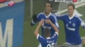 Bundesliga: Schalke 04 2-1 Fortuna Düsseldorf (2012-2013)