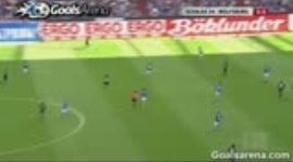 Bundesliga: Schalke 04 1-0 VfL Wolfsburg (2010-2011)