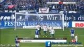 Bundesliga: Schalke 04 4-1 FC Augsburg (2013-2014)