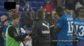 Bundesliga: 1899 Hoffenheim 1-1 Schalke 04 (2011-2012)