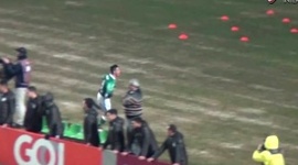 Brasileirão: Coritiba 2 - 2 Palmeiras (2016)