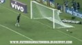 Brasileirão: Fluminense 1-0 Botafogo (2009)