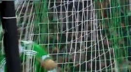 Ligue 1: St.Etienne 3 - 0 Lyon (2014-2015)