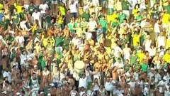 Futebol 365