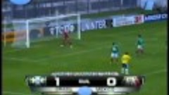 Futebol 365