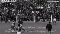Futebol 365