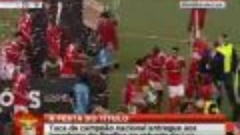 Futebol 365