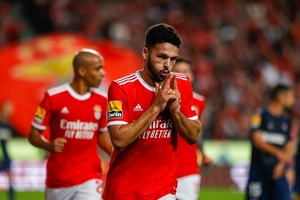 LC: Benfica tem balanço positivo com belgas, mas uma final perdida