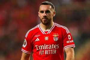 "Não sei se toda a gente nos Países Baixos percebe a grandeza do Benfica"