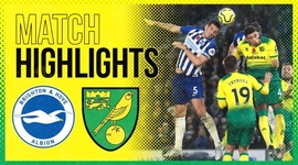 Premier League: Brighton 2 - 0 Norwich (2019-2020)
