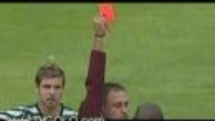 Futebol 365