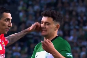 "Se a camisola fosse azul e branca... se o jogador se chamasse Pepe..."