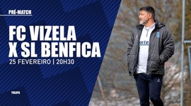 Liga Portugal Bwin: Antevisão de Tulipa ao Vizela vs Benfica (2022-2023)