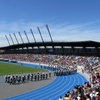 El Teniente de Rancagua