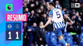 Premier League: Brighton 1 - 1 Everton (2023-2024)