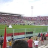 Erasmo Iacovone
